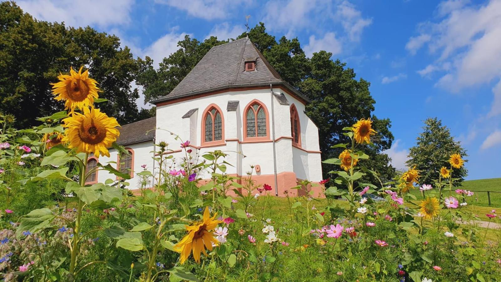 Ferienhaus Deine Zeit Mit Sauna Und Wallbox Nettersheim Zewnętrze zdjęcie